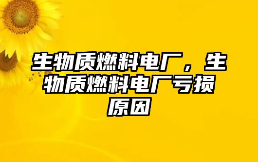 生物質(zhì)燃料電廠，生物質(zhì)燃料電廠虧損原因