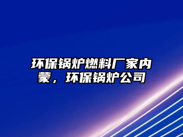 環(huán)保鍋爐燃料廠家內(nèi)蒙，環(huán)保鍋爐公司