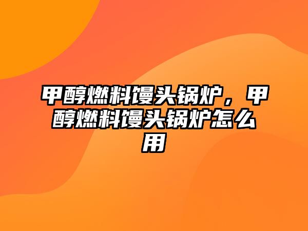 甲醇燃料饅頭鍋爐，甲醇燃料饅頭鍋爐怎么用