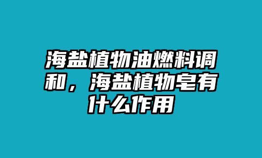 海鹽植物油燃料調(diào)和，海鹽植物皂有什么作用