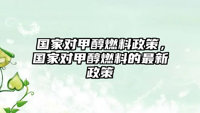 國(guó)家對(duì)甲醇燃料政策，國(guó)家對(duì)甲醇燃料的最新政策