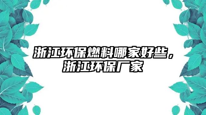 浙江環(huán)保燃料哪家好些，浙江環(huán)保廠家