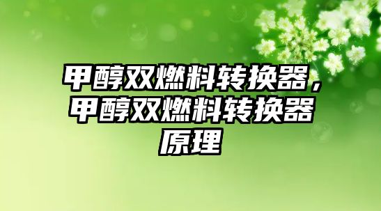 甲醇雙燃料轉(zhuǎn)換器，甲醇雙燃料轉(zhuǎn)換器原理