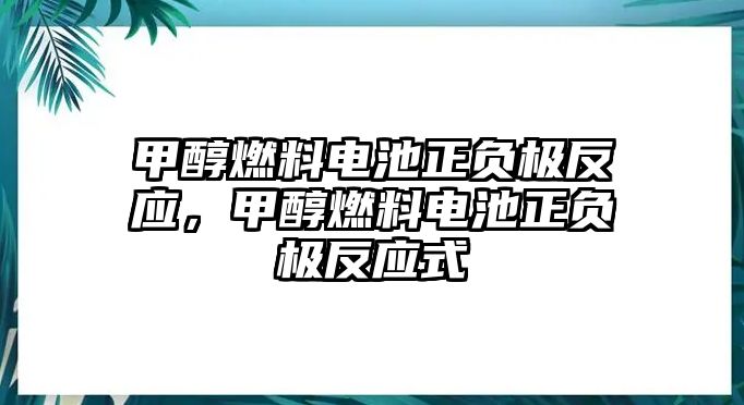 甲醇燃料電池正負(fù)極反應(yīng)，甲醇燃料電池正負(fù)極反應(yīng)式