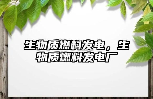 生物質燃料發(fā)電，生物質燃料發(fā)電廠