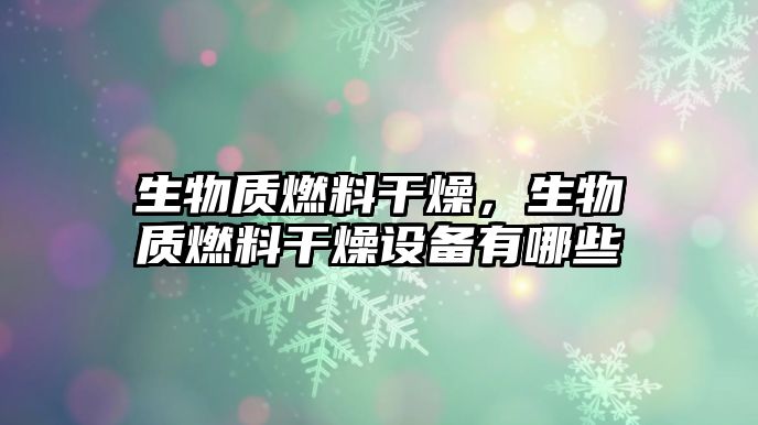 生物質(zhì)燃料干燥，生物質(zhì)燃料干燥設(shè)備有哪些