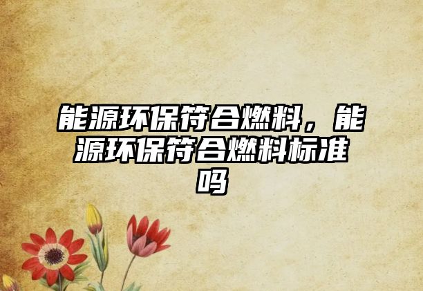 能源環(huán)保符合燃料，能源環(huán)保符合燃料標準嗎