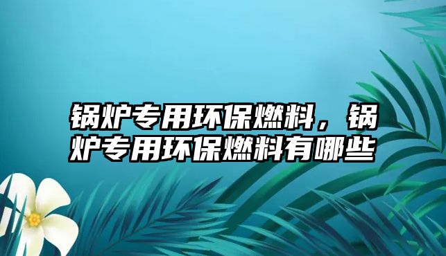 鍋爐專用環(huán)保燃料，鍋爐專用環(huán)保燃料有哪些