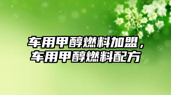 車用甲醇燃料加盟，車用甲醇燃料配方