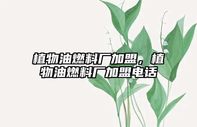 植物油燃料廠加盟，植物油燃料廠加盟電話