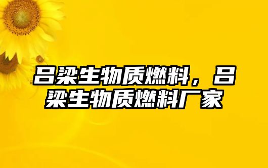 呂梁生物質(zhì)燃料，呂梁生物質(zhì)燃料廠家