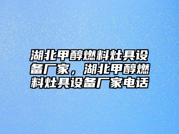 湖北甲醇燃料灶具設(shè)備廠家，湖北甲醇燃料灶具設(shè)備廠家電話