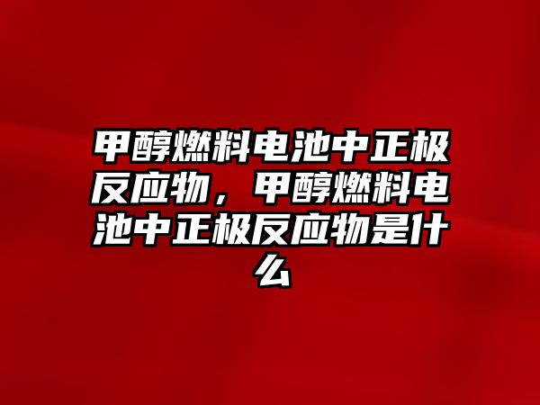 甲醇燃料電池中正極反應物，甲醇燃料電池中正極反應物是什么