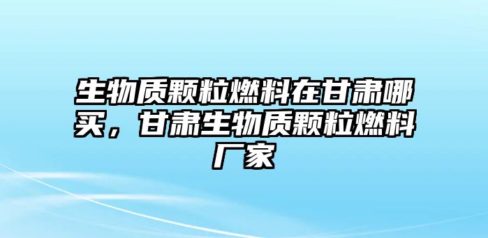 生物質顆粒燃料在甘肅哪買，甘肅生物質顆粒燃料廠家