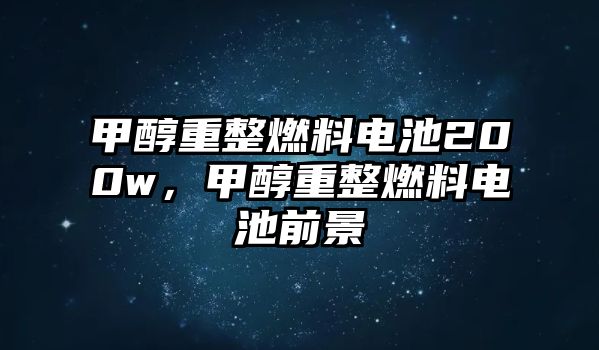 甲醇重整燃料電池200w，甲醇重整燃料電池前景