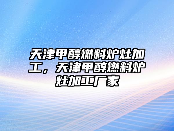 天津甲醇燃料爐灶加工，天津甲醇燃料爐灶加工廠家