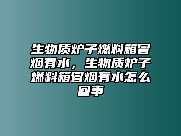 生物質(zhì)爐子燃料箱冒煙有水，生物質(zhì)爐子燃料箱冒煙有水怎么回事