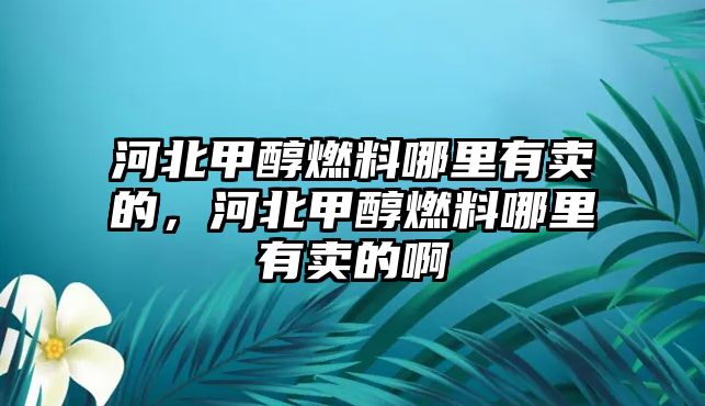 河北甲醇燃料哪里有賣的，河北甲醇燃料哪里有賣的啊