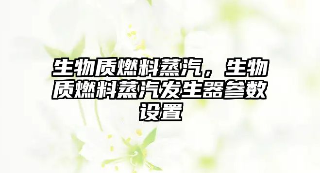 生物質(zhì)燃料蒸汽，生物質(zhì)燃料蒸汽發(fā)生器參數(shù)設(shè)置