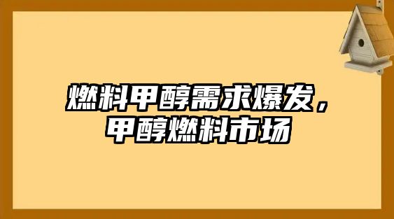 燃料甲醇需求爆發(fā)，甲醇燃料市場