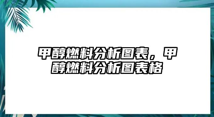 甲醇燃料分析圖表，甲醇燃料分析圖表格