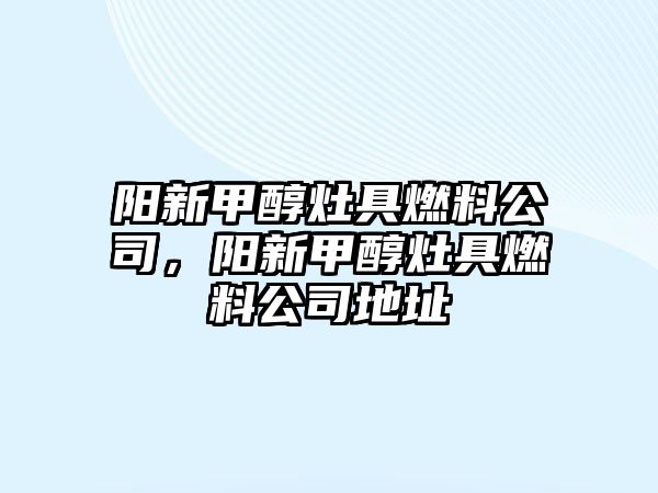 陽(yáng)新甲醇灶具燃料公司，陽(yáng)新甲醇灶具燃料公司地址