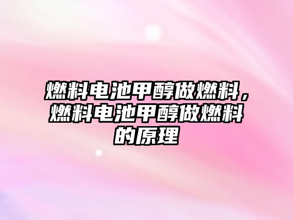 燃料電池甲醇做燃料，燃料電池甲醇做燃料的原理