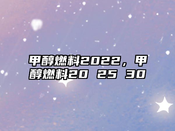 甲醇燃料2022，甲醇燃料20 25 30