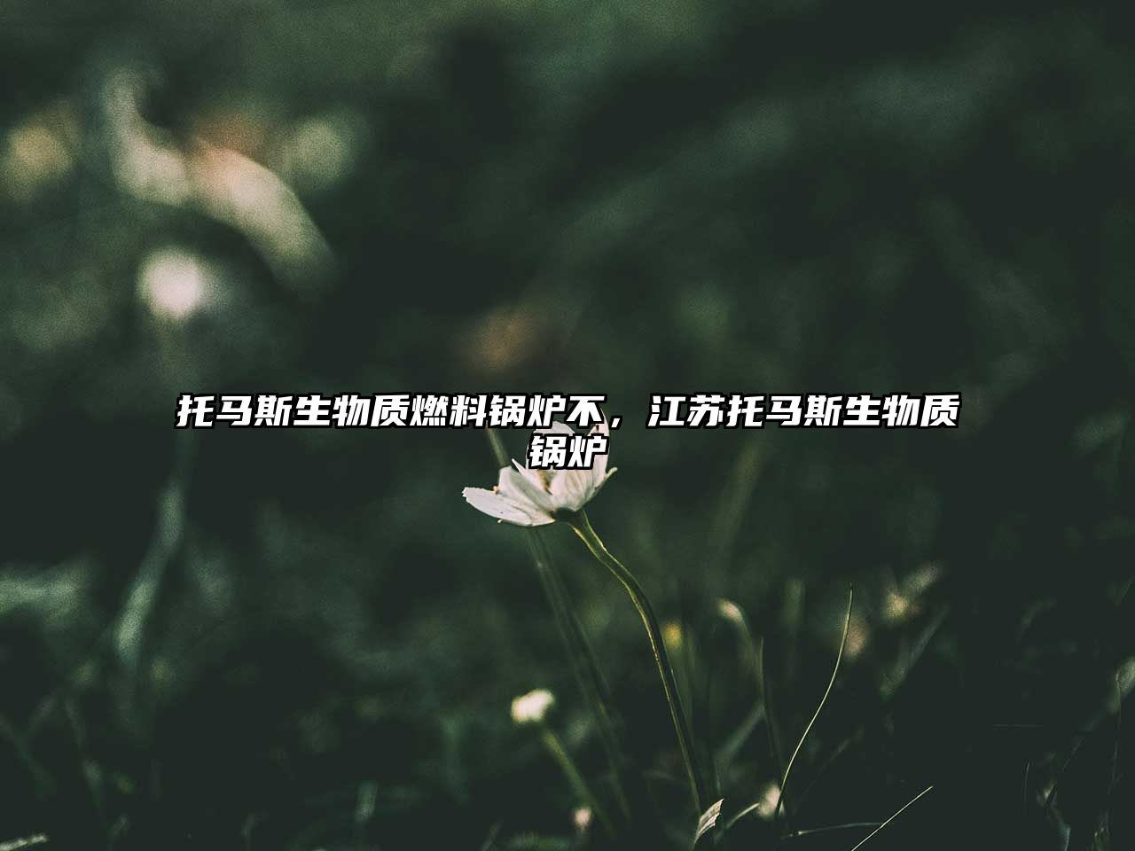 托馬斯生物質(zhì)燃料鍋爐不，江蘇托馬斯生物質(zhì)鍋爐