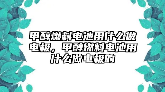 甲醇燃料電池用什么做電極，甲醇燃料電池用什么做電極的