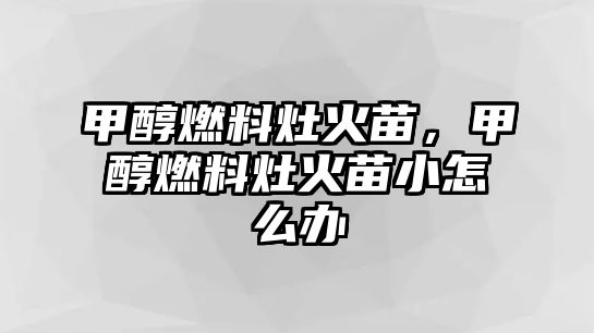 甲醇燃料灶火苗，甲醇燃料灶火苗小怎么辦