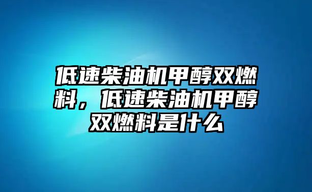 低速柴油機甲醇雙燃料，低速柴油機甲醇雙燃料是什么