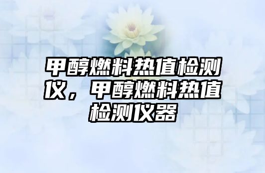 甲醇燃料熱值檢測(cè)儀，甲醇燃料熱值檢測(cè)儀器