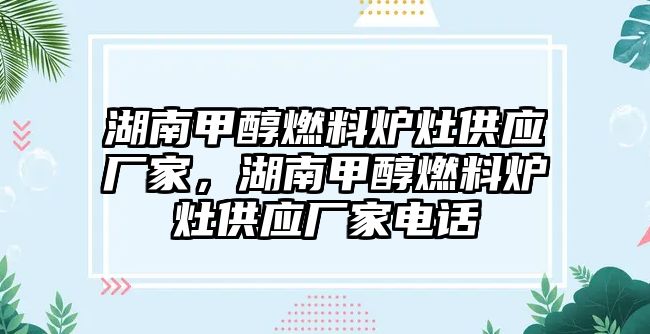 湖南甲醇燃料爐灶供應(yīng)廠家，湖南甲醇燃料爐灶供應(yīng)廠家電話