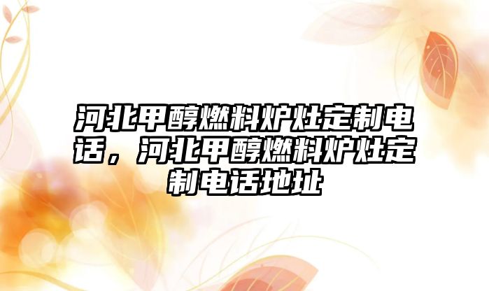 河北甲醇燃料爐灶定制電話，河北甲醇燃料爐灶定制電話地址