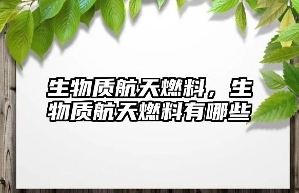 生物質(zhì)航天燃料，生物質(zhì)航天燃料有哪些