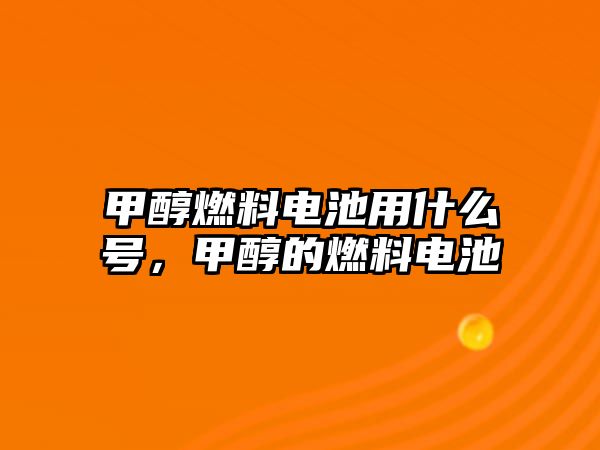 甲醇燃料電池用什么號，甲醇的燃料電池