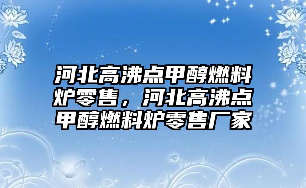 河北高沸點甲醇燃料爐零售，河北高沸點甲醇燃料爐零售廠家