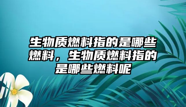 生物質(zhì)燃料指的是哪些燃料，生物質(zhì)燃料指的是哪些燃料呢