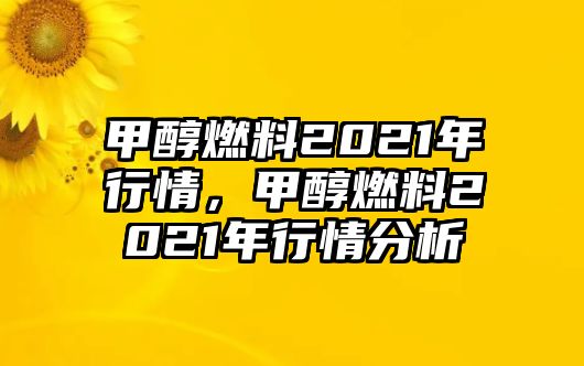 甲醇燃料2021年行情，甲醇燃料2021年行情分析