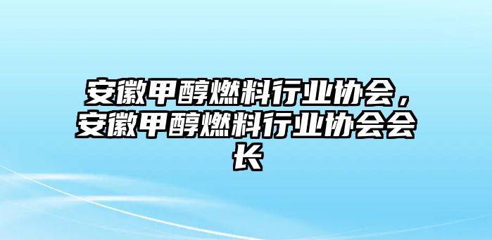 安徽甲醇燃料行業(yè)協(xié)會(huì)，安徽甲醇燃料行業(yè)協(xié)會(huì)會(huì)長(zhǎng)