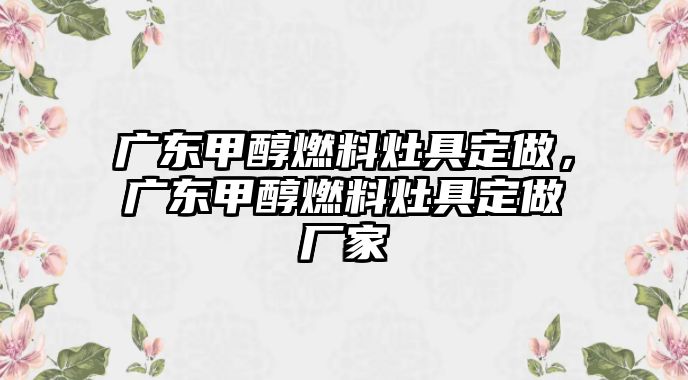 廣東甲醇燃料灶具定做，廣東甲醇燃料灶具定做廠家