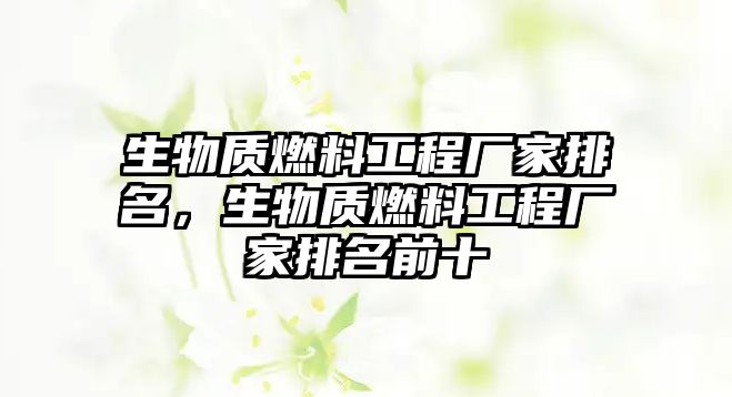 生物質(zhì)燃料工程廠家排名，生物質(zhì)燃料工程廠家排名前十