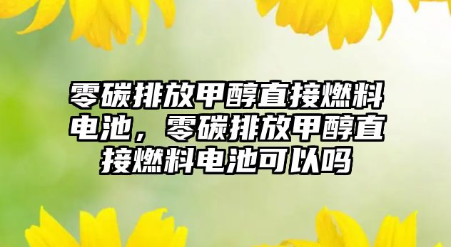 零碳排放甲醇直接燃料電池，零碳排放甲醇直接燃料電池可以嗎