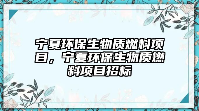 寧夏環(huán)保生物質(zhì)燃料項目，寧夏環(huán)保生物質(zhì)燃料項目招標