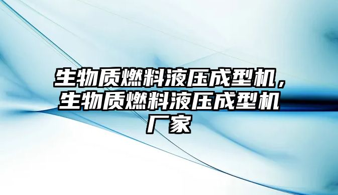 生物質(zhì)燃料液壓成型機(jī)，生物質(zhì)燃料液壓成型機(jī)廠家