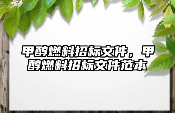 甲醇燃料招標(biāo)文件，甲醇燃料招標(biāo)文件范本