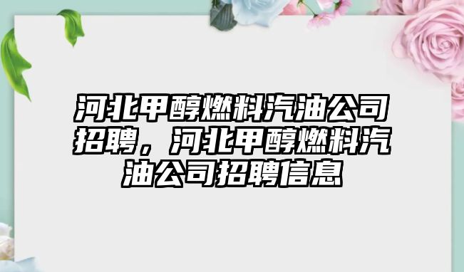 河北甲醇燃料汽油公司招聘，河北甲醇燃料汽油公司招聘信息