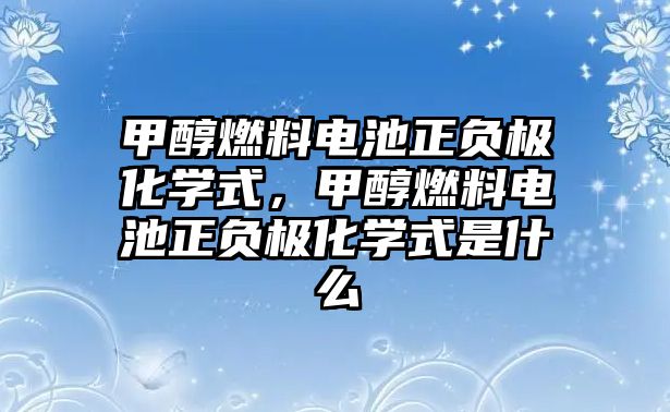 甲醇燃料電池正負(fù)極化學(xué)式，甲醇燃料電池正負(fù)極化學(xué)式是什么