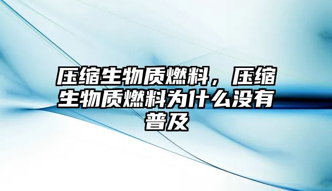 壓縮生物質(zhì)燃料，壓縮生物質(zhì)燃料為什么沒有普及